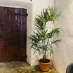 Court House Apartament *